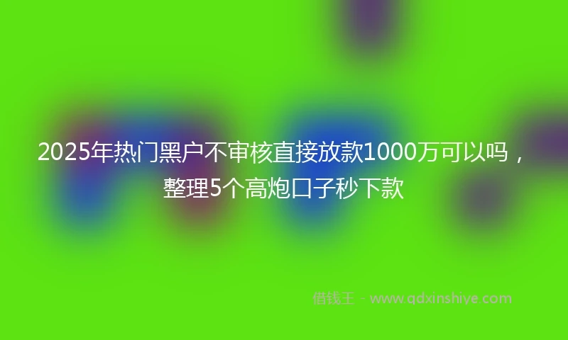 2025年热门黑户不审核直接放款1000万可以吗，整理5个高炮口子秒下款
