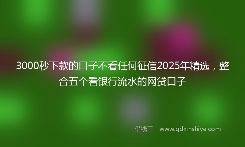 3000秒下款的口子不看任何征信2025年精选，整合五个看银行流水的网贷口子