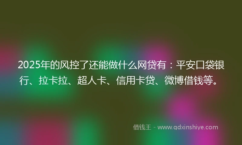 2025年的风控了还能做什么网贷有：平安口袋银行、拉卡拉、超人卡、信用卡贷、微博借钱等。