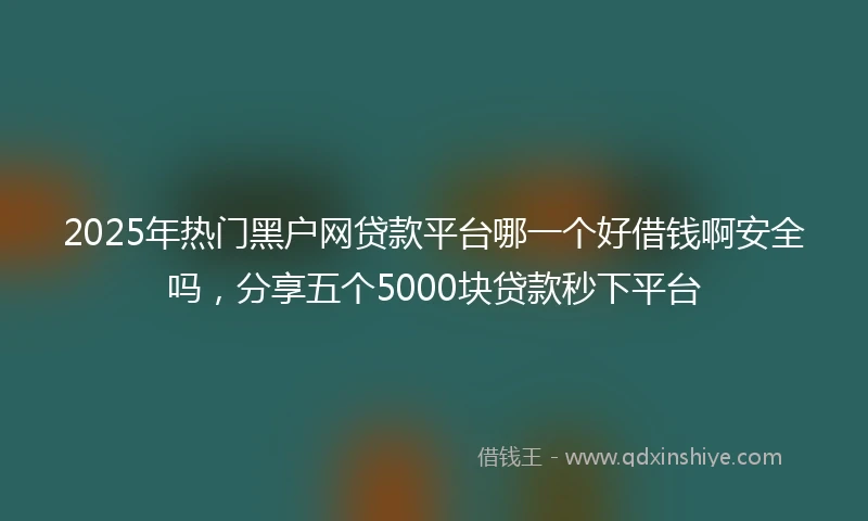 2025年热门黑户网贷款平台哪一个好借钱啊安全吗，分享五个5000块贷款秒下平台