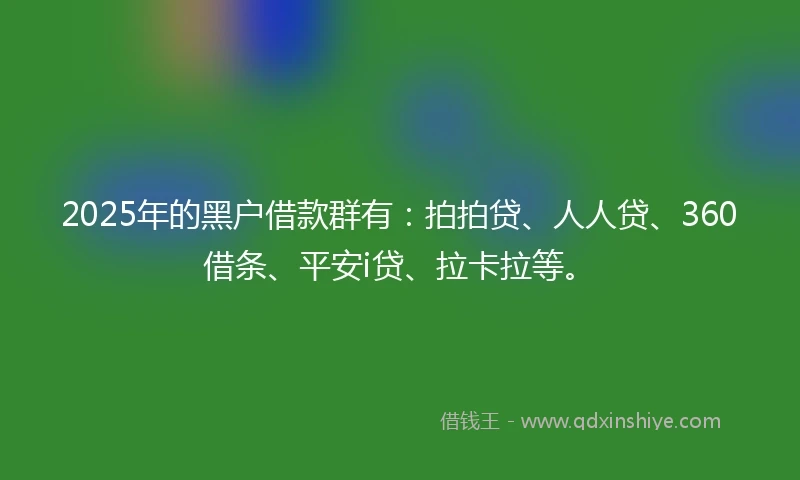 2025年的黑户借款群有：拍拍贷、人人贷、360借条、平安i贷、拉卡拉等。