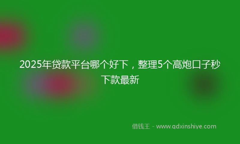2025年贷款平台哪个好下，整理5个高炮口子秒下款最新