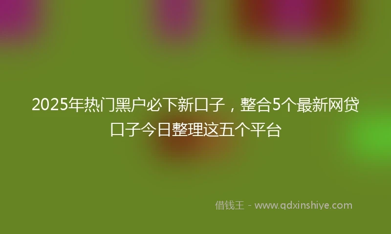 2025年热门黑户必下新口子，整合5个最新网贷口子今日整理这五个平台