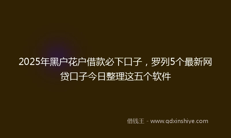 2025年黑户花户借款必下口子，罗列5个最新网贷口子今日整理这五个软件