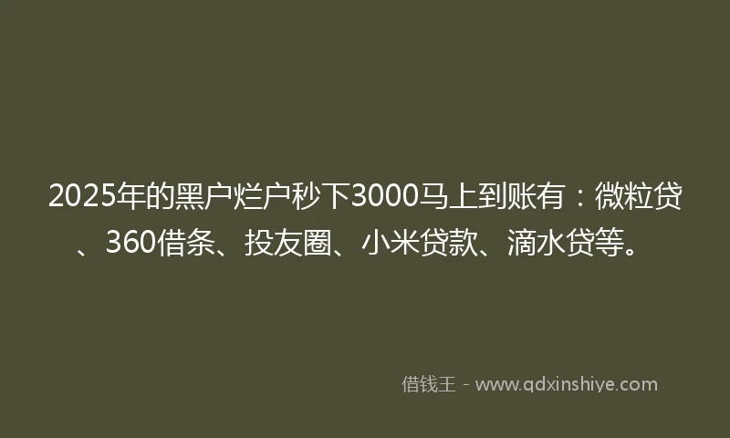 2025年的黑户烂户秒下3000马上到账有：微粒贷、360借条、投友圈、小米贷款、滴水贷等。