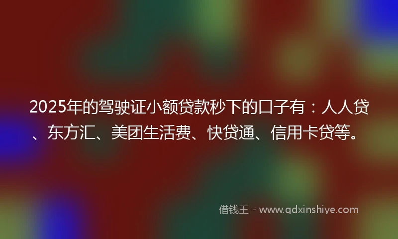 2025年的驾驶证小额贷款秒下的口子有：人人贷、东方汇、美团生活费、快贷通、信用卡贷等。