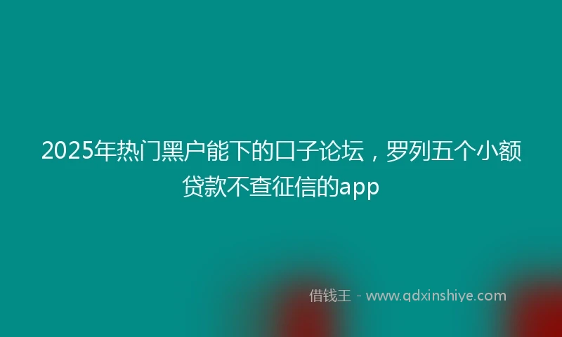 2025年热门黑户能下的口子论坛，罗列五个小额贷款不查征信的app