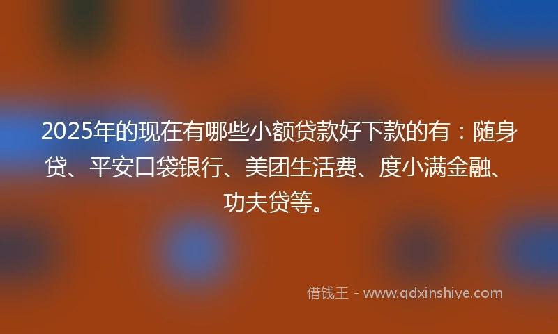 2025年的现在有哪些小额贷款好下款的有：随身贷、平安口袋银行、美团生活费、度小满金融、功夫贷等。