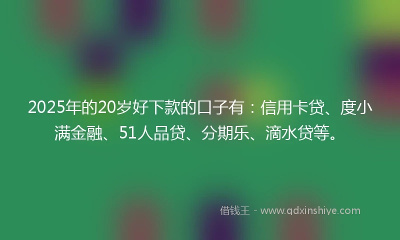 2025年的20岁好下款的口子有：信用卡贷、度小满金融、51人品贷、分期乐、滴水贷等。