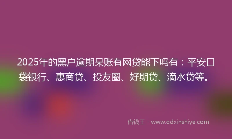 2025年的黑户逾期呆账有网贷能下吗有：平安口袋银行、惠商贷、投友圈、好期贷、滴水贷等。