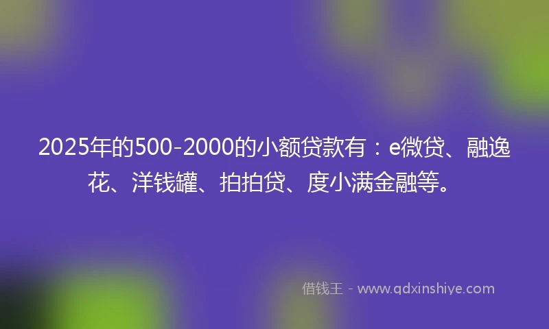 2025年的500-2000的小额贷款有：e微贷、融逸花、洋钱罐、拍拍贷、度小满金融等。