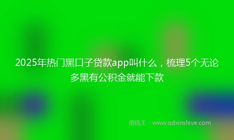 2025年热门黑口子贷款app叫什么，梳理5个无论多黑有公积金就能下款