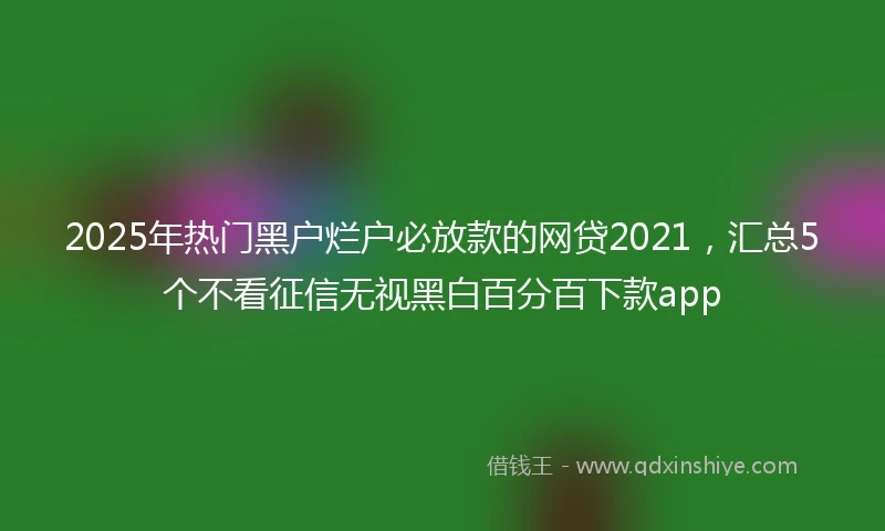 2025年热门黑户烂户必放款的网贷2021，汇总5个不看征信无视黑白百分百下款app