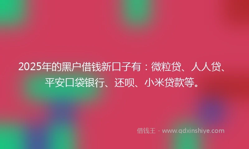 2025年的黑户借钱新口子有：微粒贷、人人贷、平安口袋银行、还呗、小米贷款等。