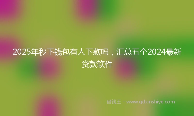 2025年秒下钱包有人下款吗，汇总五个2024最新贷款软件