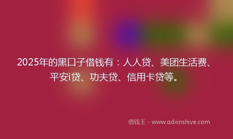 2025年的黑口子借钱有:人人贷、美团生活费、平安i贷、功夫贷、信用卡贷等。