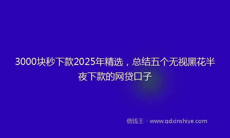 3000块秒下款2025年精选，总结五个无视黑花半夜下款的网贷口子