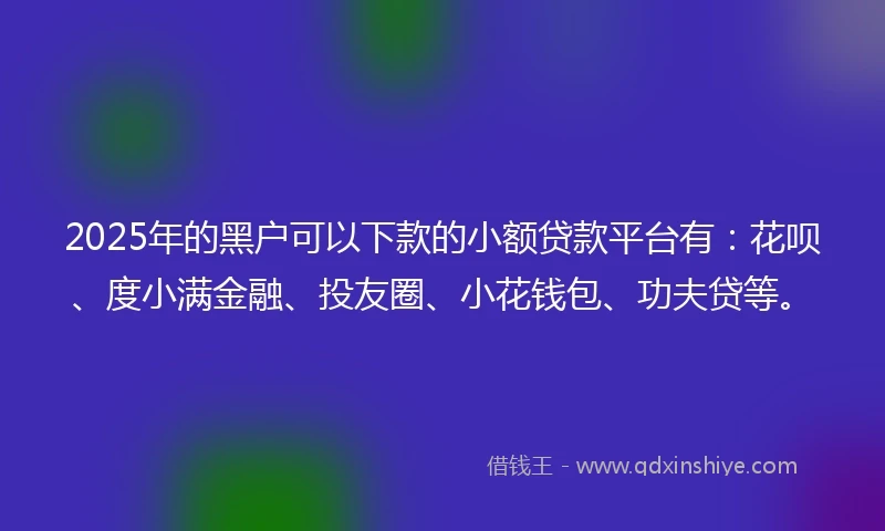 2025年的黑户可以下款的小额贷款平台有：花呗、度小满金融、投友圈、小花钱包、功夫贷等。