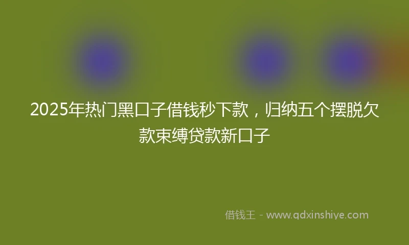 2025年热门黑口子借钱秒下款，归纳五个摆脱欠款束缚贷款新口子