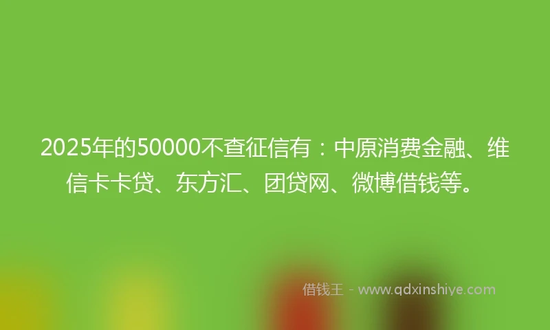 2025年的50000不查征信有：中原消费金融、维信卡卡贷、东方汇、团贷网、微博借钱等。