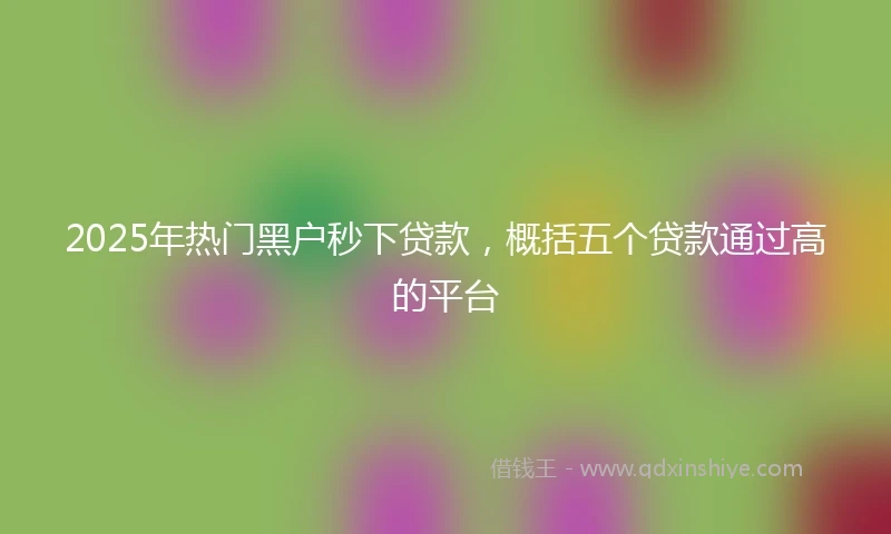 2025年热门黑户秒下贷款，概括五个贷款通过高的平台