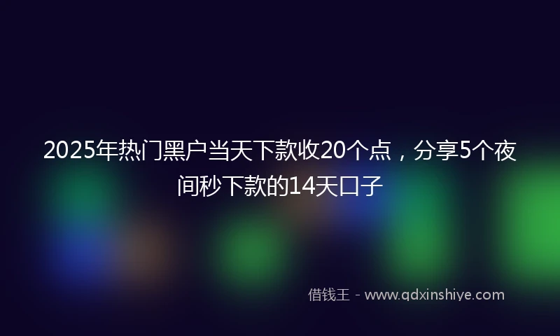 2025年热门黑户当天下款收20个点，分享5个夜间秒下款的14天口子