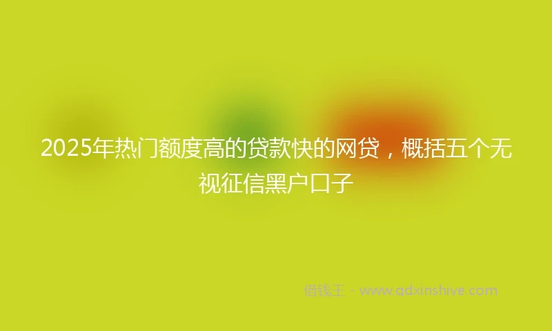 2025年热门额度高的贷款快的网贷，概括五个无视征信黑户口子