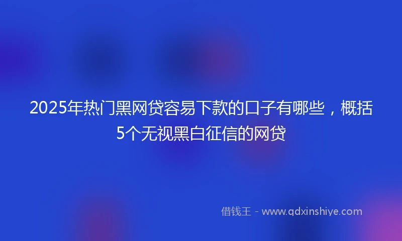 2025年热门黑网贷容易下款的口子有哪些，概括5个无视黑白征信的网贷
