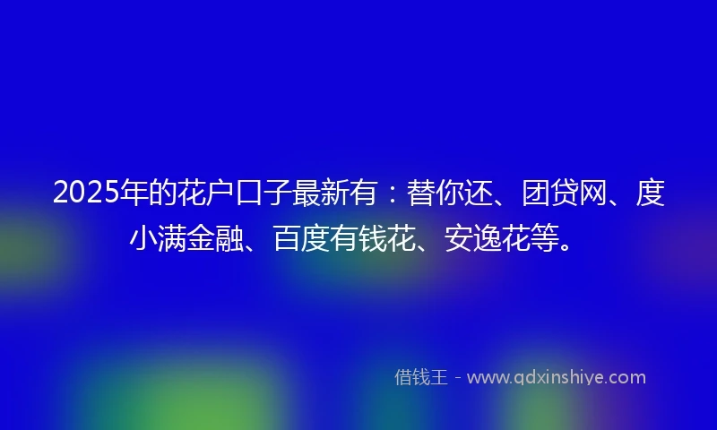 2025年的花户口子最新有：替你还、团贷网、度小满金融、百度有钱花、安逸花等。