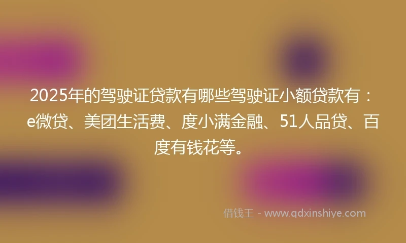 2025年的驾驶证贷款有哪些驾驶证小额贷款有：e微贷、美团生活费、度小满金融、51人品贷、百度有钱花等。
