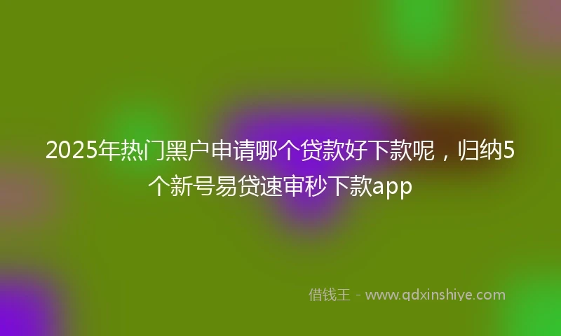 2025年热门黑户申请哪个贷款好下款呢，归纳5个新号易贷速审秒下款app