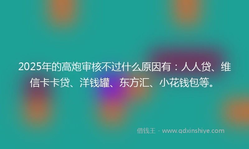 2025年的高炮审核不过什么原因有：人人贷、维信卡卡贷、洋钱罐、东方汇、小花钱包等。