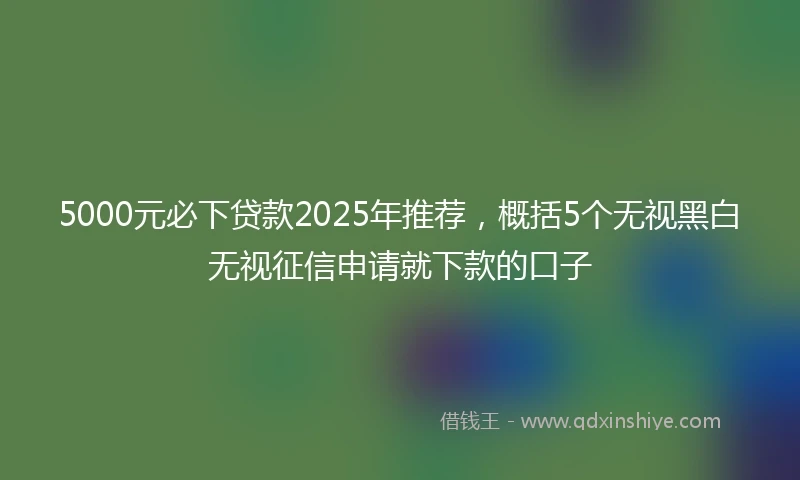 5000元必下贷款2025年推荐，概括5个无视黑白无视征信申请就下款的口子
