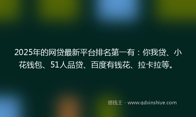 2025年的网贷最新平台排名第一有：你我贷、小花钱包、51人品贷、百度有钱花、拉卡拉等。