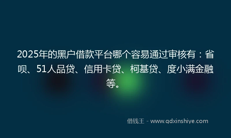 2025年的黑户借款平台哪个容易通过审核有：省呗、51人品贷、信用卡贷、柯基贷、度小满金融等。