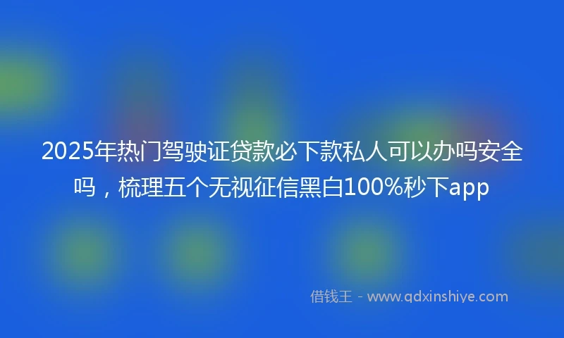 2025年热门驾驶证贷款必下款私人可以办吗安全吗，梳理五个无视征信黑白100%秒下app