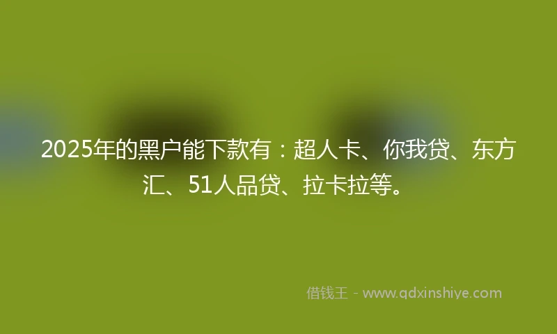 2025年的黑户能下款有：超人卡、你我贷、东方汇、51人品贷、拉卡拉等。