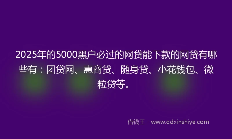 2025年的5000黑户必过的网贷能下款的网贷有哪些有：团贷网、惠商贷、随身贷、小花钱包、微粒贷等。