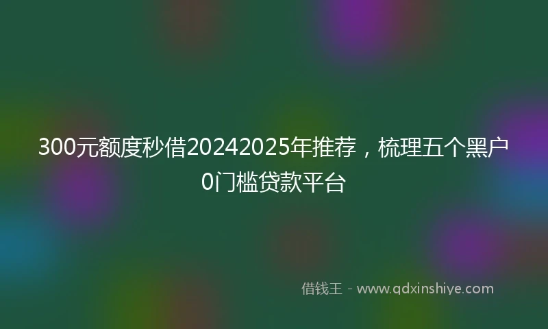 300元额度秒借20242025年推荐，梳理五个黑户0门槛贷款平台