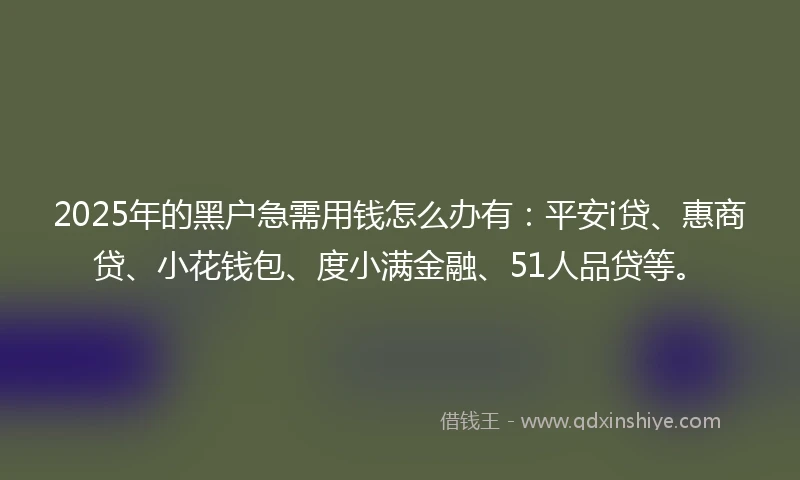2025年的黑户急需用钱怎么办有：平安i贷、惠商贷、小花钱包、度小满金融、51人品贷等。