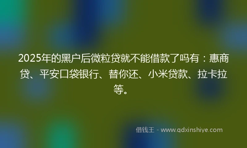 2025年的黑户后微粒贷就不能借款了吗有：惠商贷、平安口袋银行、替你还、小米贷款、拉卡拉等。