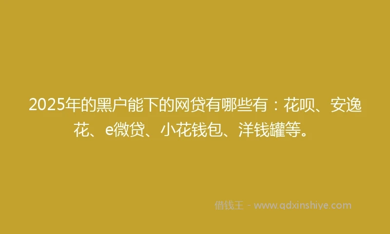 2025年的黑户能下的网贷有哪些有：花呗、安逸花、e微贷、小花钱包、洋钱罐等。