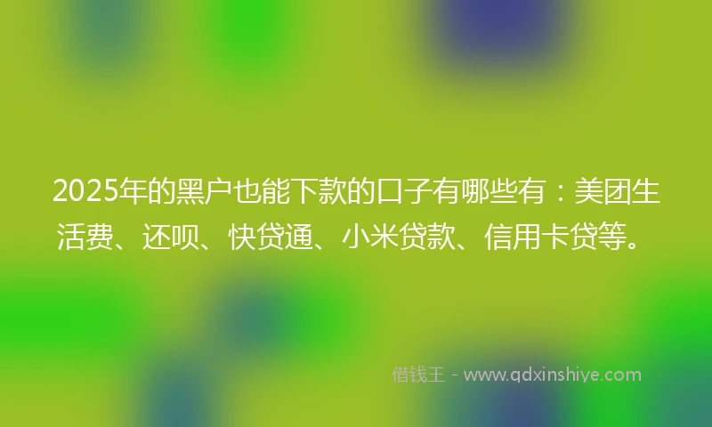 2025年的黑户也能下款的口子有哪些有：美团生活费、还呗、快贷通、小米贷款、信用卡贷等。