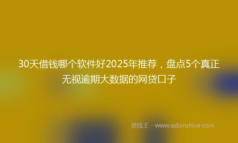 30天借钱哪个软件好2025年推荐，盘点5个真正无视逾期大数据的网贷口子