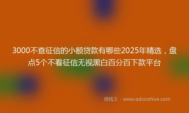 3000不查征信的小额贷款有哪些2025年精选，盘点5个不看征信无视黑白百分百下款平台