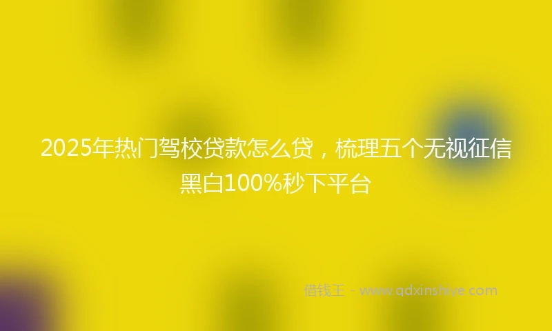 2025年热门驾校贷款怎么贷，梳理五个无视征信黑白100%秒下平台