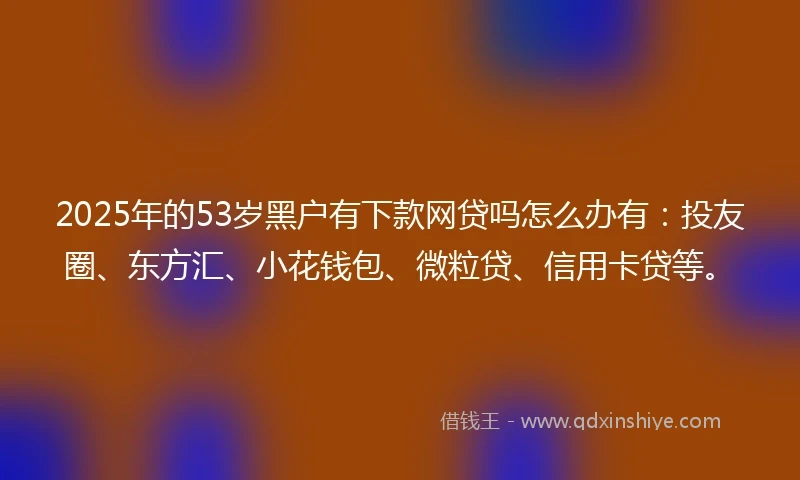 2025年的53岁黑户有下款网贷吗怎么办有：投友圈、东方汇、小花钱包、微粒贷、信用卡贷等。