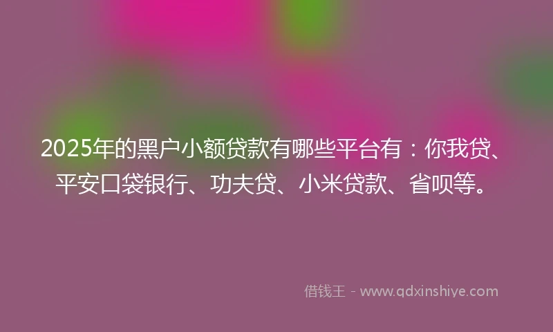 2025年的黑户小额贷款有哪些平台有：你我贷、平安口袋银行、功夫贷、小米贷款、省呗等。