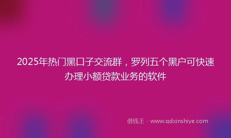 2025年热门黑口子交流群，罗列五个黑户可快速办理小额贷款业务的软件