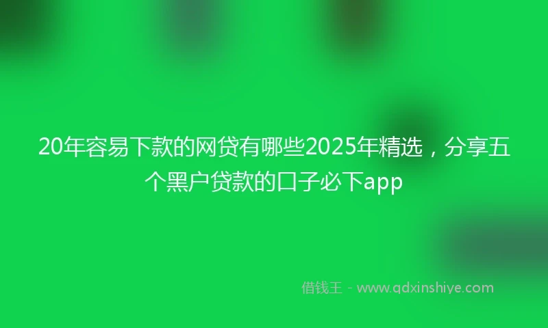 20年容易下款的网贷有哪些2025年精选，分享五个黑户贷款的口子必下app